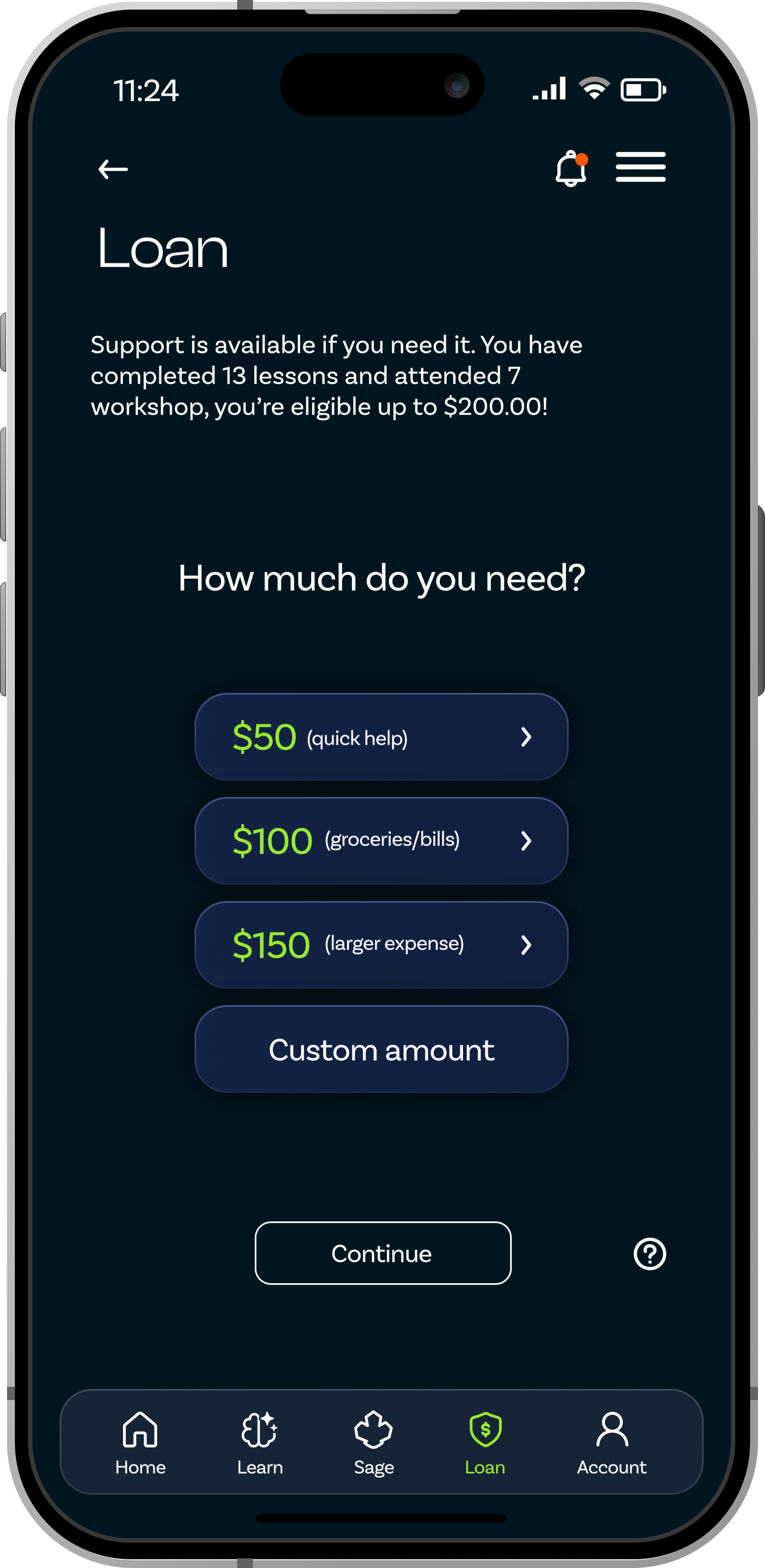 Microloan screen 3